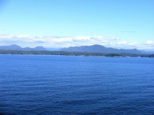 IMAG0011.jpg